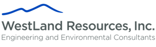 WestLand Resources